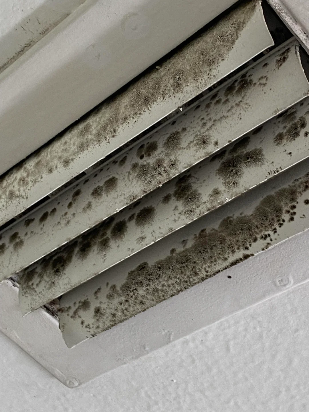 Mold from an air vent