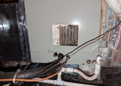 Blue Ridge Heating and Air Mold Cleanup